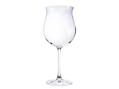 Toujours Cristal de Sèvres Vinea lot de 2 verres de grand pinot noir code EAN 3700511217313 