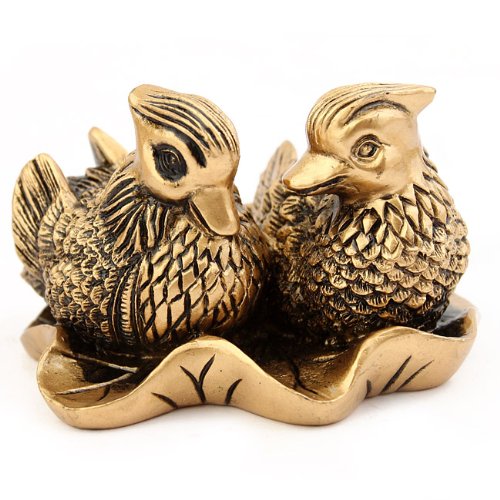 Couple de Canards Mandarins - Symbole D'Amour E...