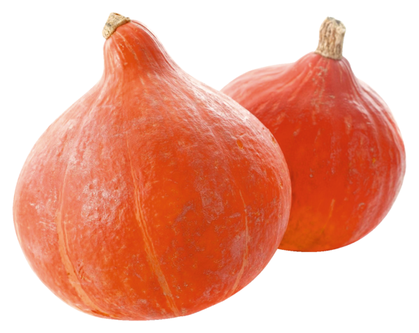 SANS MARQUE Potimarron Bio code EAN 3700530902016 