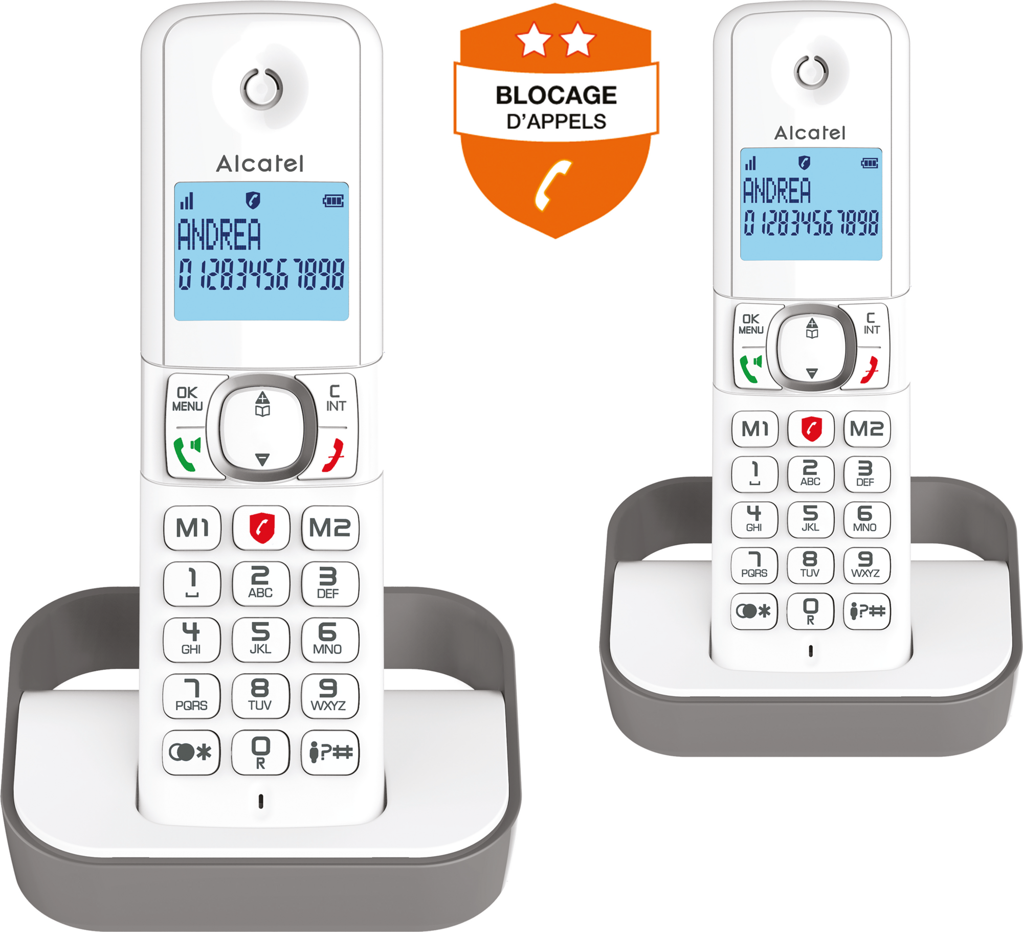 Téléphone fixe  F860 VOICE DUO