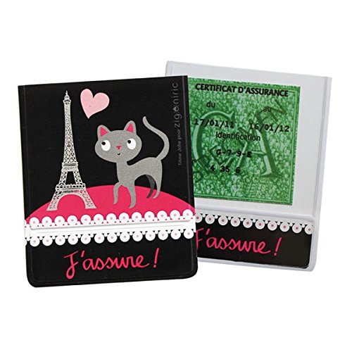 Zig05par déco auto porte-vignette paristigris