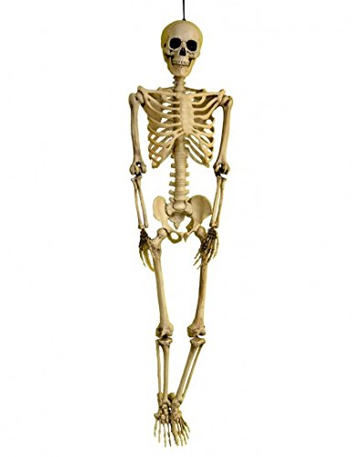 - gu78088 - squelette 3d réaliste - 90 cm