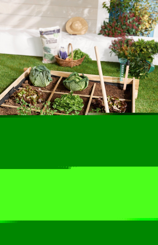 CARRE POTAGER 9 SEPARATIONS  3700643702107 (3700643702107)