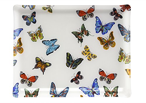 4037281053 plateau petit modèle décor papillon ...