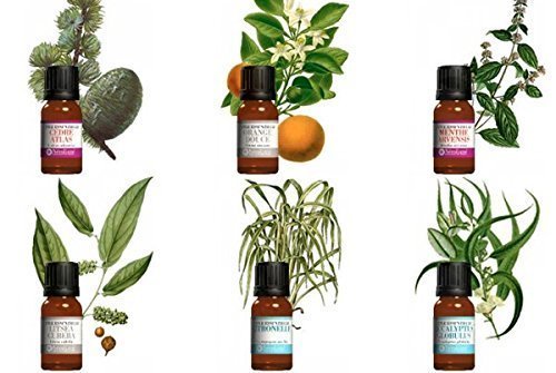 kit aromathérapie. Lot 6 huiles essentielles HEBBD