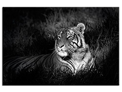 Tableau original Tigre en lumière - TOP VENTE