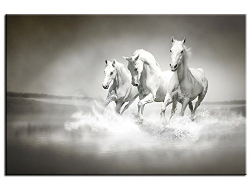 Toile décorative Chevaux au galop - TOP VENTE