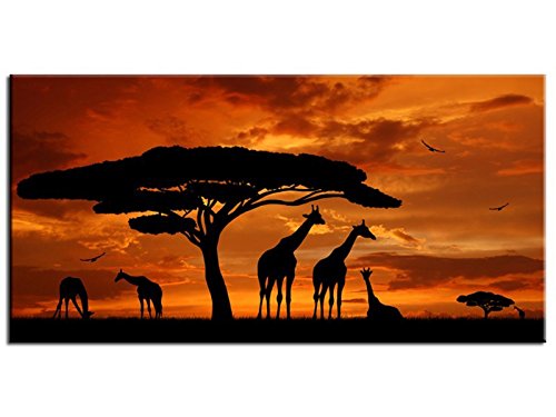 Toile déco Coucher de soleil sur la Savane - TO...