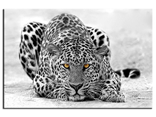 Cadre déco animaux Leopard noir et blanc - TOP ...