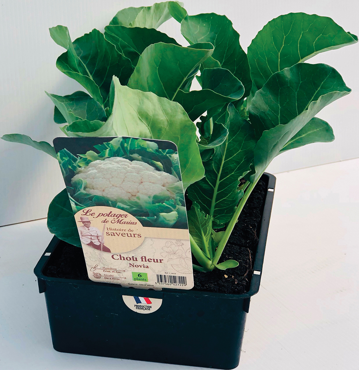 le potager de marius CHOU code EAN 3700780312641 