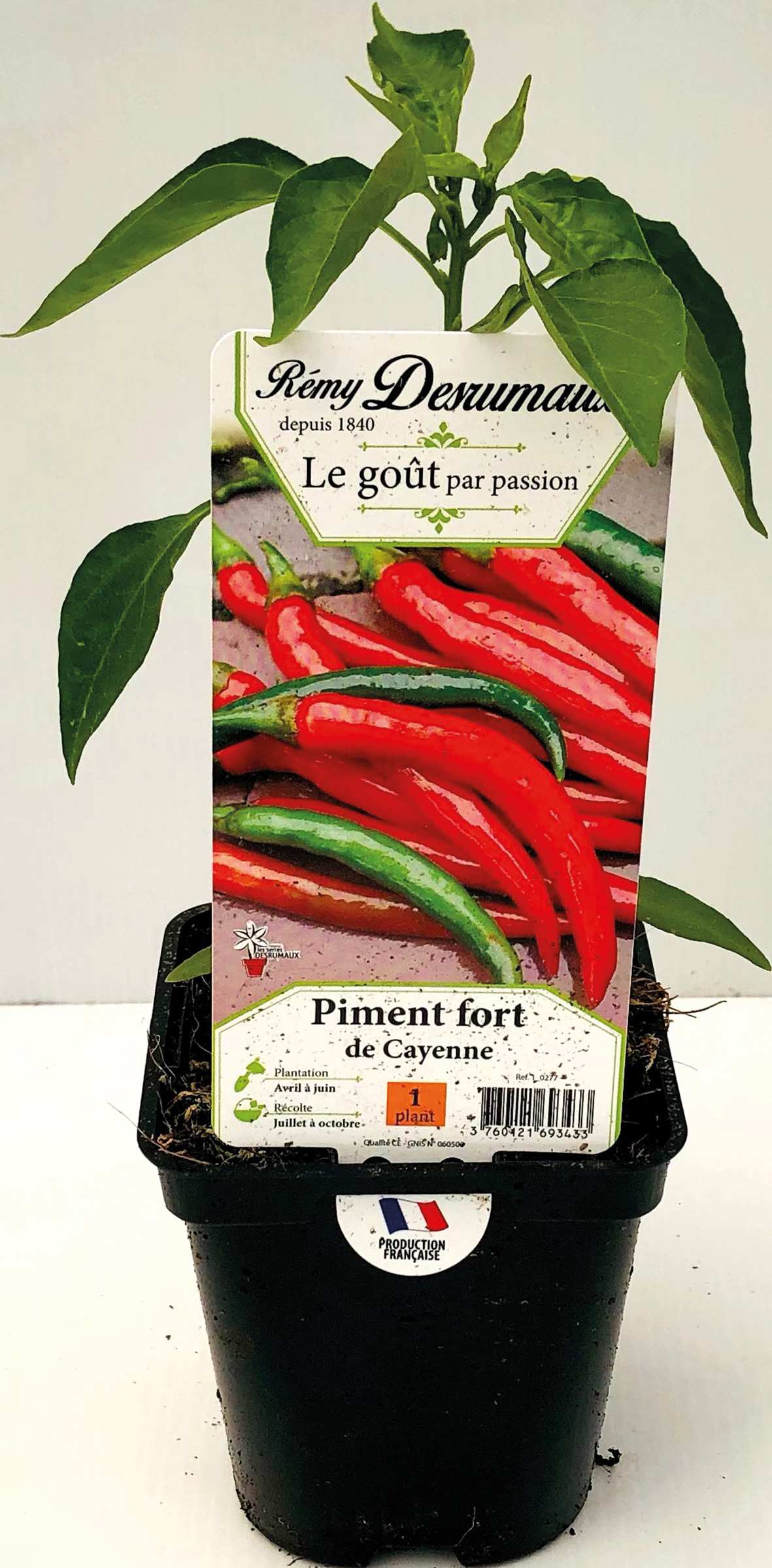 LÉGUMES 3700780312887 rÉmy desrumaux