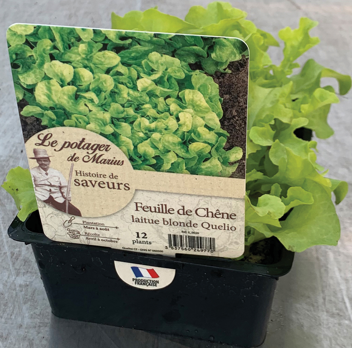 le potager de marius SALADE code EAN 3700780318841 