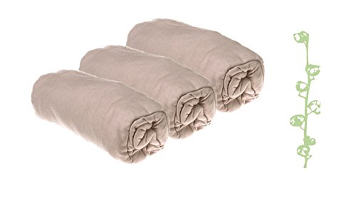 Lot de 3 draps housse Coton Bio noisette pour c...
