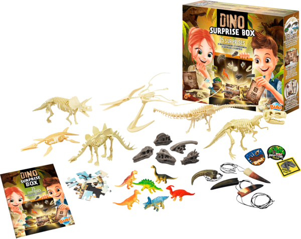 Boite Surprise Dino
