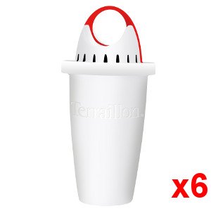 6 Cartouches filtrantes EasyFiltra+ TERRAILLON
