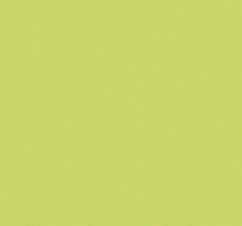 53317 film adhésif uni mat, pvc, vert anis, 67,...