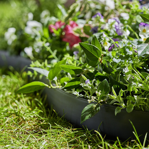  Bordurette plastique code EAN 3700901726098 