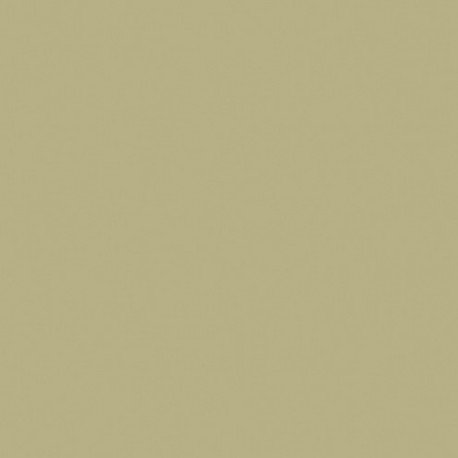 Poudre contre émail opaque, 45 grammes