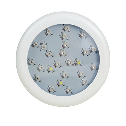 SPECIAL! Panneau LED horticole 75W led pour cro...