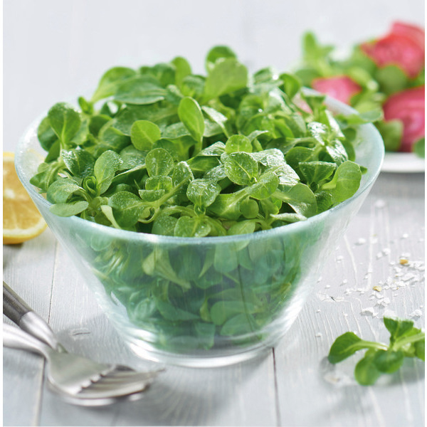 les-crudettes Mâche LES CRUDETTES code EAN 3701035100945 