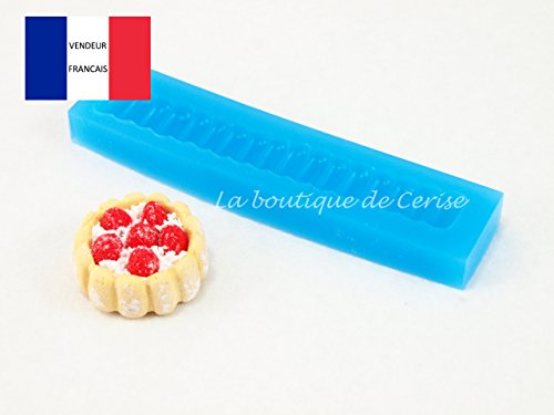 Moule silicone miniature charlotte aux fraises ...