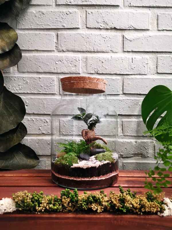 LA GREEN TOUCH TERRARIUM VEGETAL LA GREEN TOUCH code EAN 3701297800034 