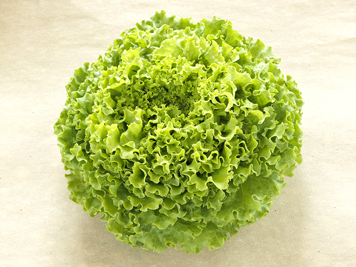  BATAVIA code EAN 3701576814219 