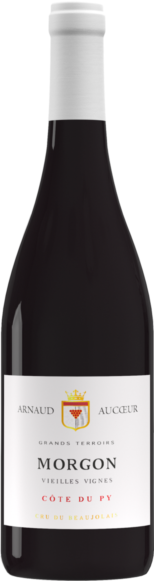 ARNAUD AUCOEUR - VIEILLES VIGNES 2022 AOP MORGON CÔTE DU PY
ROUGE code EAN 3760014283178 