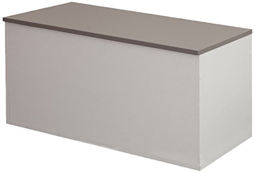 4007a2191a00 contemporain coffre banc à chaussu...