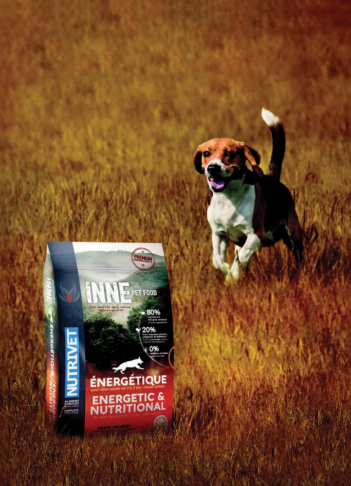 CROQUETTES CHIEN “ÉNERGÉTIQUE”