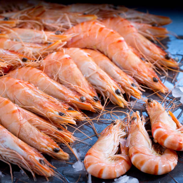  Gambas Sauvages Cuites Réfrigérées code EAN 3760082431617 