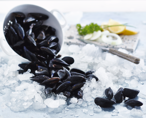  Moules De Bouchot Spécialité Traditionnelle Garantie code EAN 3760116235716 