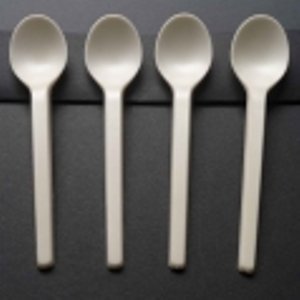 50 grandes cuillères luxe jetables biodégradabl...