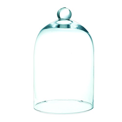 Cloche en verre déco 20x11cm