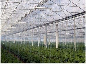 Ficelle Horticole Polypropylène Type 1000 - Bobine 2kg 3760188906385 Agrifournitures