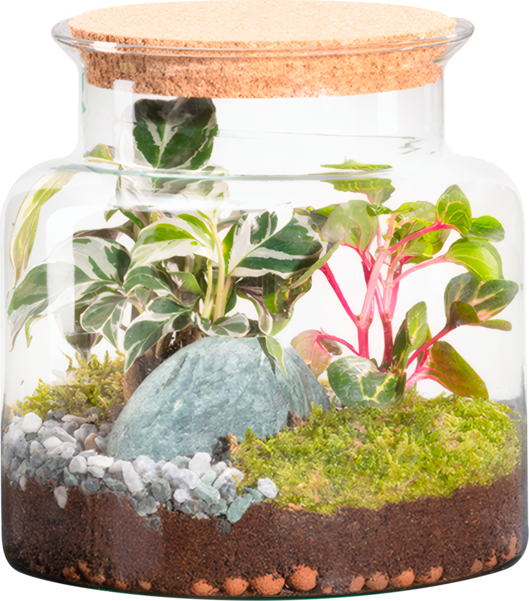 Terrarium 2 plantes code EAN 3760202727774 