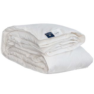 CASTEX CASTEX Couette Été Canard 240x220 Cm 90% Duvet Neuf code EAN 3760239880145 