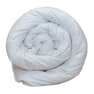 CASTEX Couette 4 Saisons Canard 240x220 Cm 90% ...