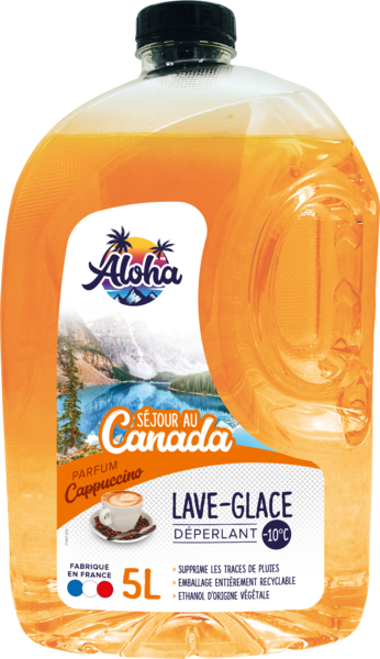 Lave Glace Hiver Auto