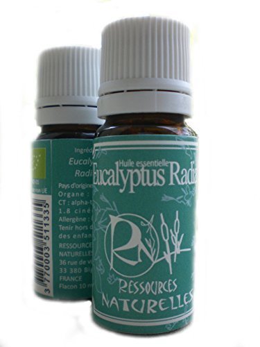- huile essentielle eucalyptus radiata bio 10 ml