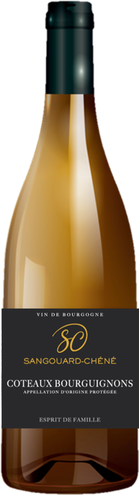 AOP CÔTEAUX-BOURGUIGNONS BLANC SEC - SANGOUARD-...