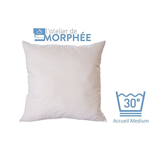 Oreiller moelleux 63x63