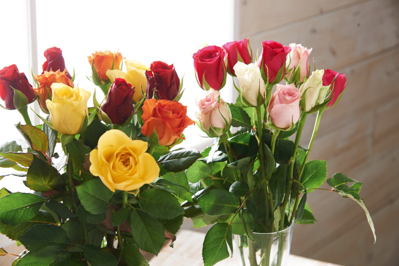 BOUQUET DE 10 ROSES 50 CM ISSUES DU COMMERCE ÉQUITABLE  COLORIS VARIÉS  3920201105038 (3920201105038)