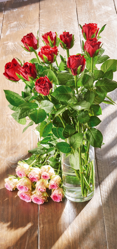 BOUQUET DE 10 ROSES 60 CM  3920201105236 (3920201105236)