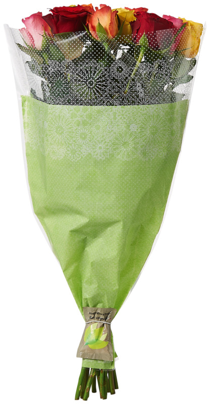 BOUQUET DE 12 ROSES 50 CM  3920201125777 (3920201125777)