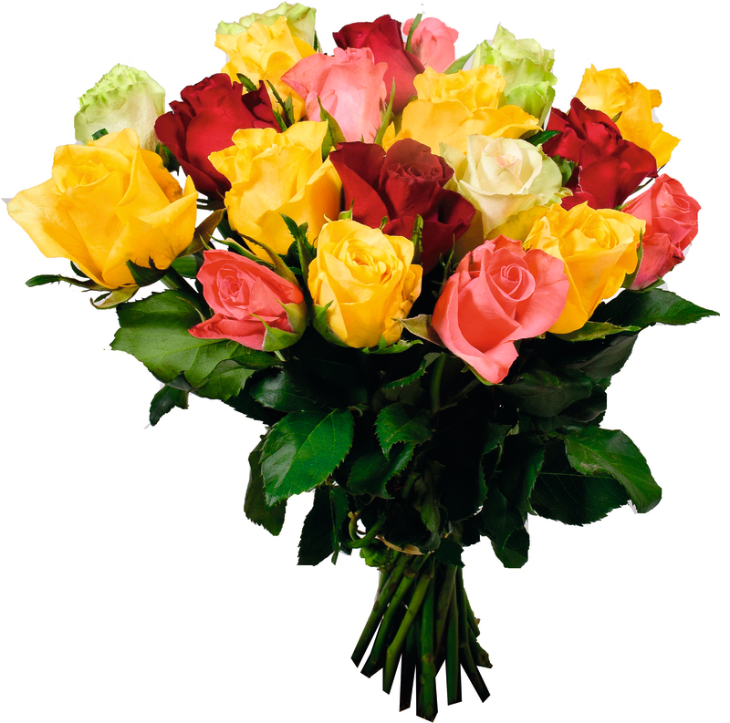 BOUQUET DE 20 ROSES 50 CM ARLEQUIN OU BOUQUET COMPOSÉ DE 20 TIGES  3920201200108 