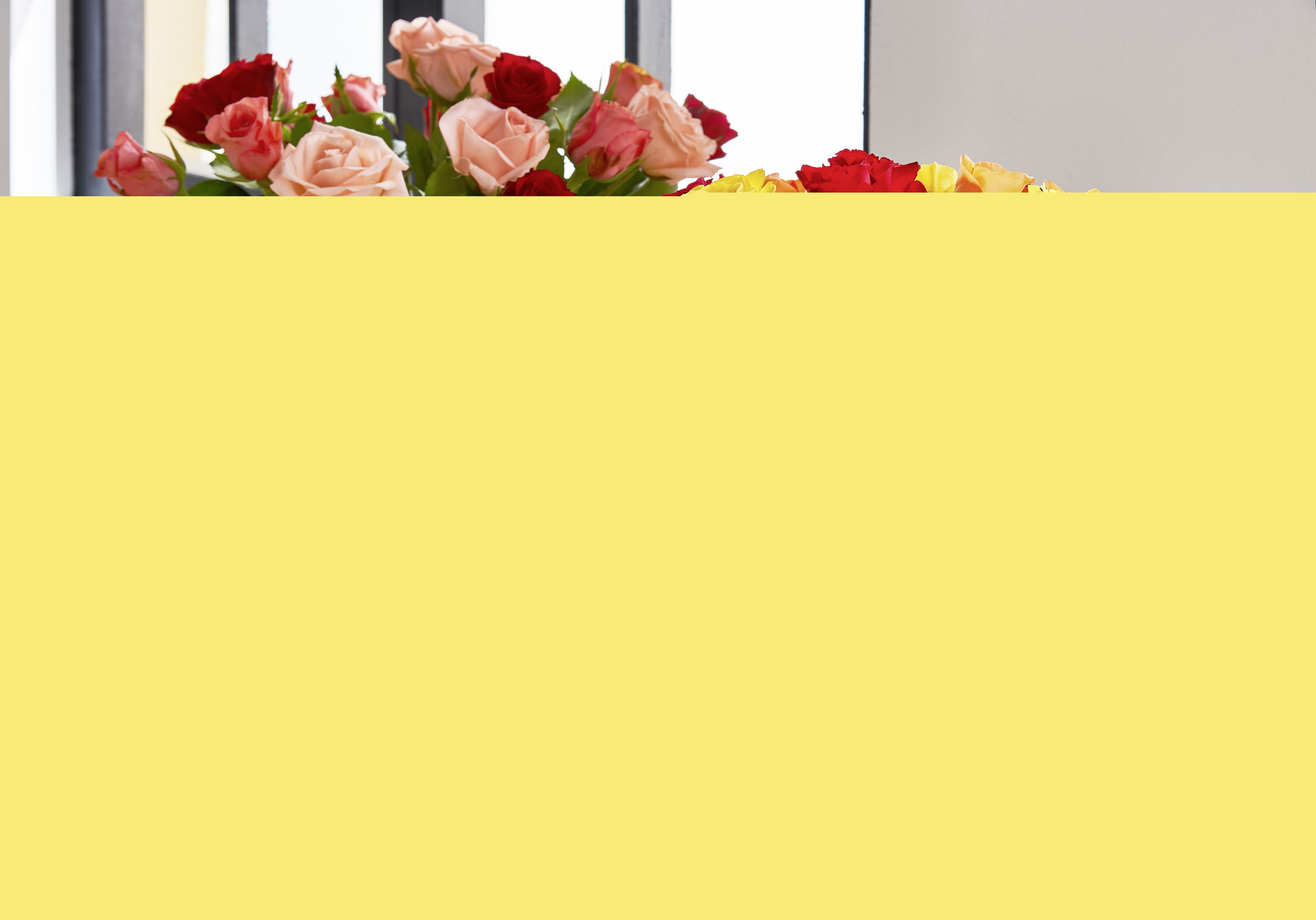 Bouquet de 20 roses 40 cm arlequin tons chauds et froids  3920201200139 (3920201200139)
