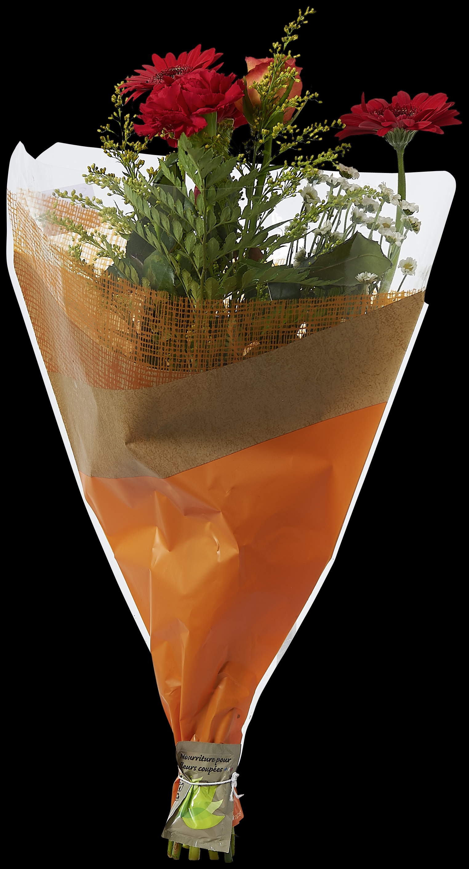 Bouquet 10 tiges  3920202105013 (3920202105013)