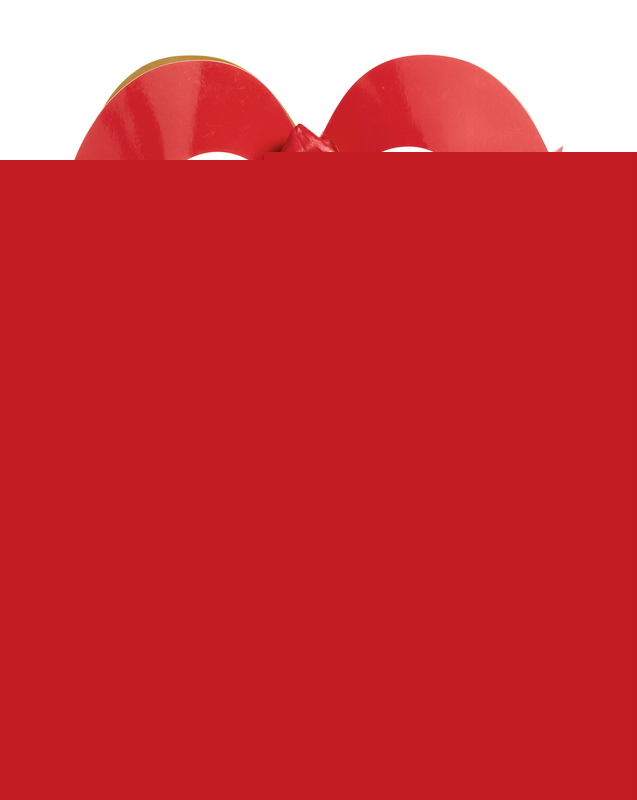 BOUQUET BULLE 14 TIGES DANS UN SAC CADEAU  3920202145057 (3920202145057)
