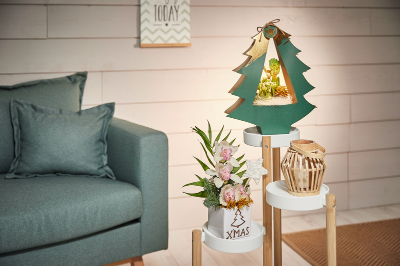 COMPOSITION DE 4 FLEURONS DE CYMBIDIUM OU COMPOSITION DE 2 PLANTES DANS UN SAC SAPIN AVEC GUIRLANDE LUMINEUSE  3940343808772 